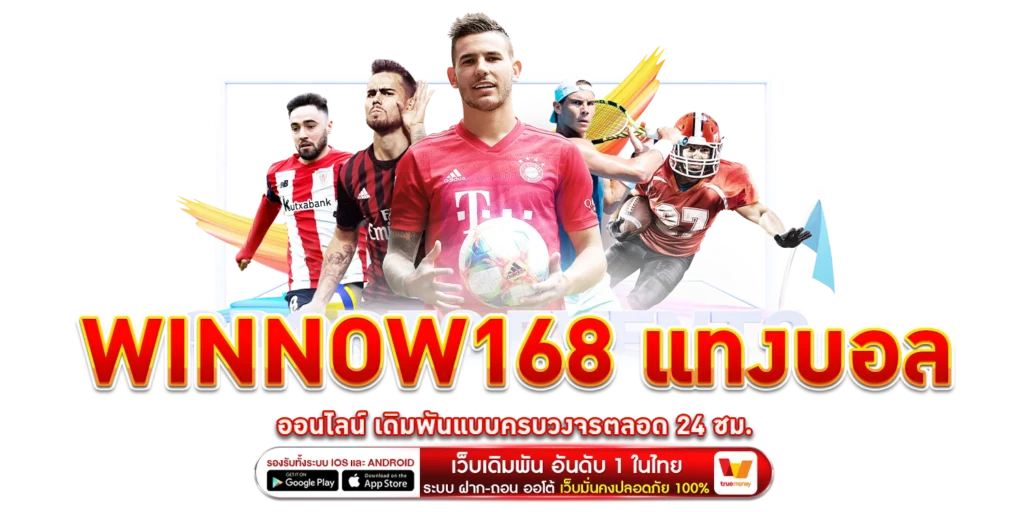 Winnow168 แทงบอล